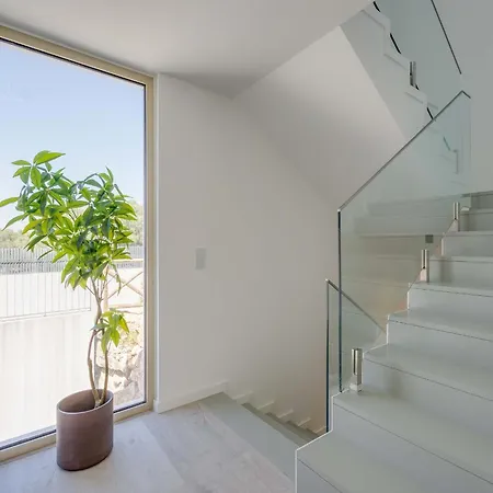 فيلة Akivillas Maple
