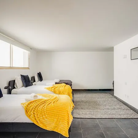 فيلة Akivillas Maple *