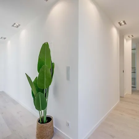 Akivillas Maple Sintra